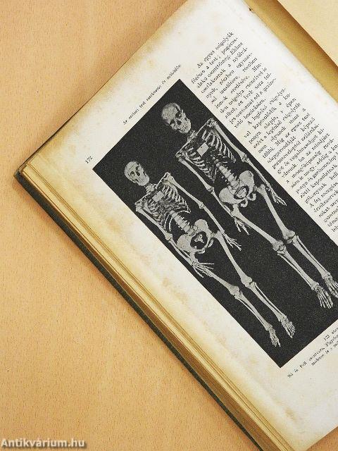 Az ember testi és lelki élete, egyéni és faji sajátságai (rossz állapotú)