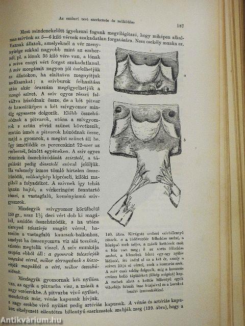 Az ember testi és lelki élete, egyéni és faji sajátságai (rossz állapotú)