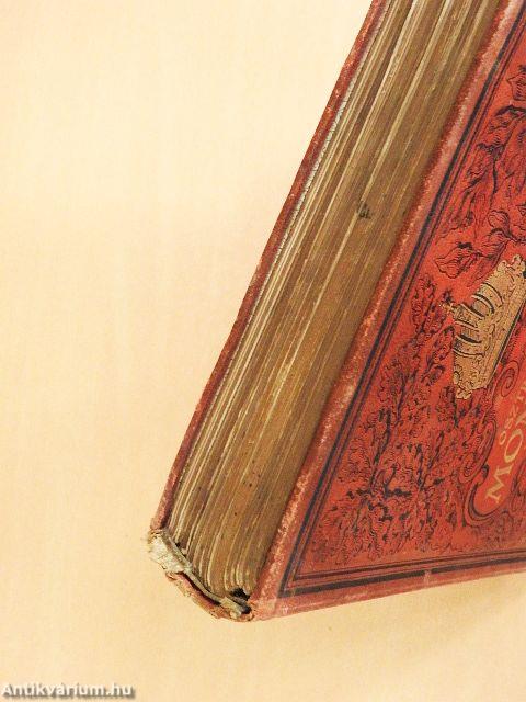 Az Osztrák-Magyar Monarchia irásban és képben - Karinthia és Krajna (rossz állapotú)