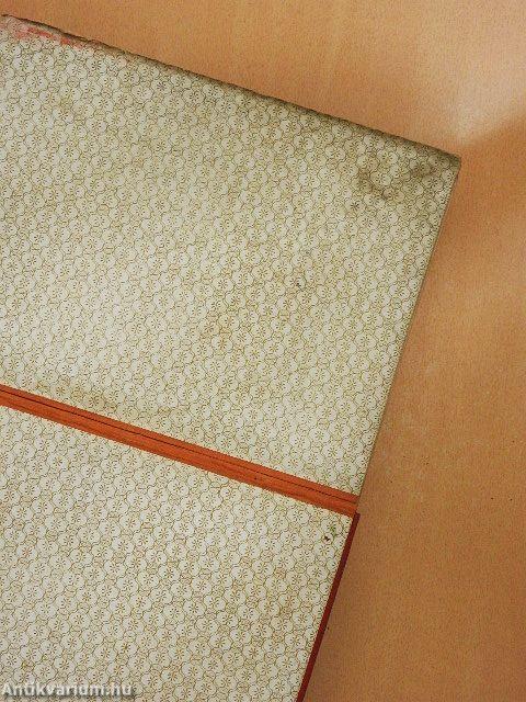 Az Osztrák-Magyar Monarchia irásban és képben - Karinthia és Krajna (rossz állapotú)