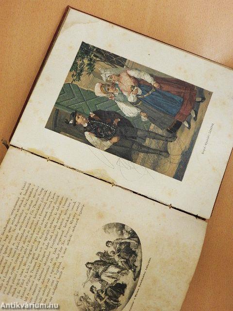 Az Osztrák-Magyar Monarchia irásban és képben - Karinthia és Krajna (rossz állapotú)