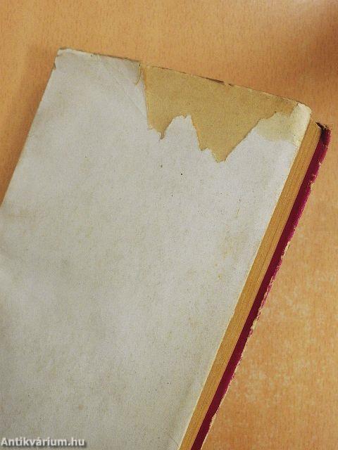 A történelem árnyékában