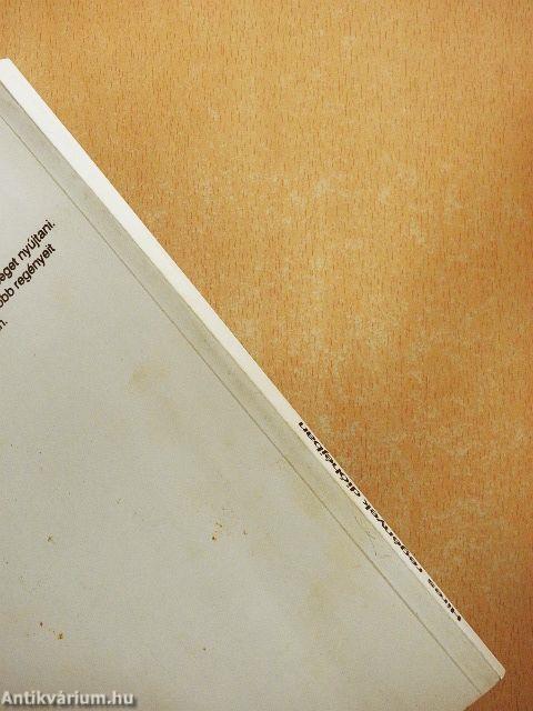 Híres regények dióhéjban