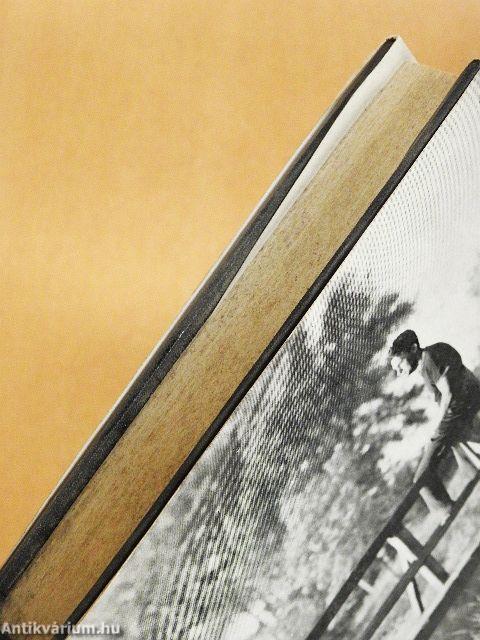 Makacs maradandóság