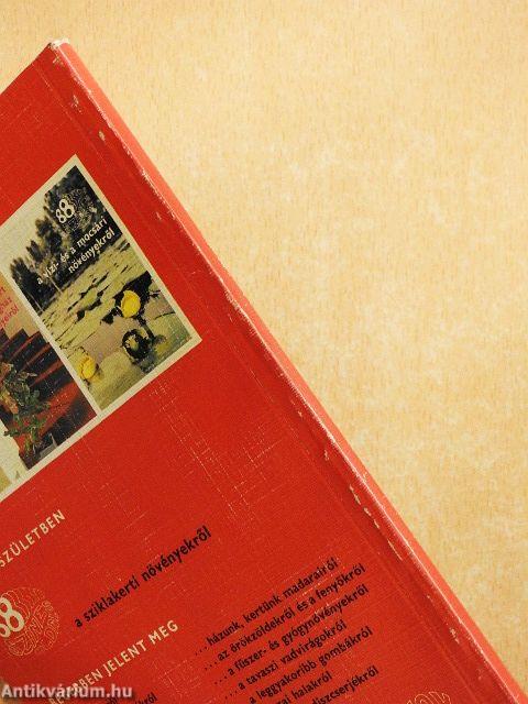 A déligyümölcsökről