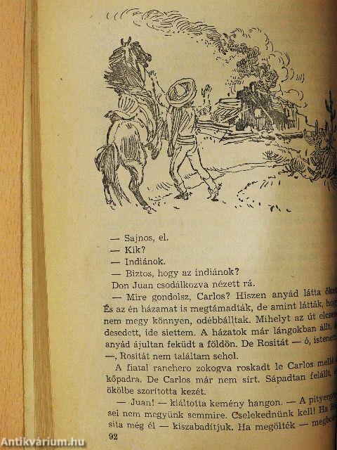 A fehér törzsfőnök