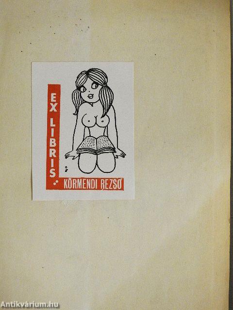 Magyar-angol kéziszótár