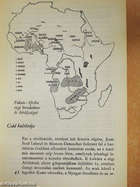 Fekete-Afrika művészete