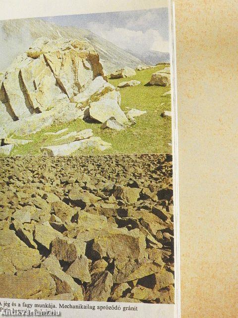 Ökológiai zsebkönyv