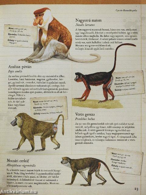 Gyerek-állatenciklopédia