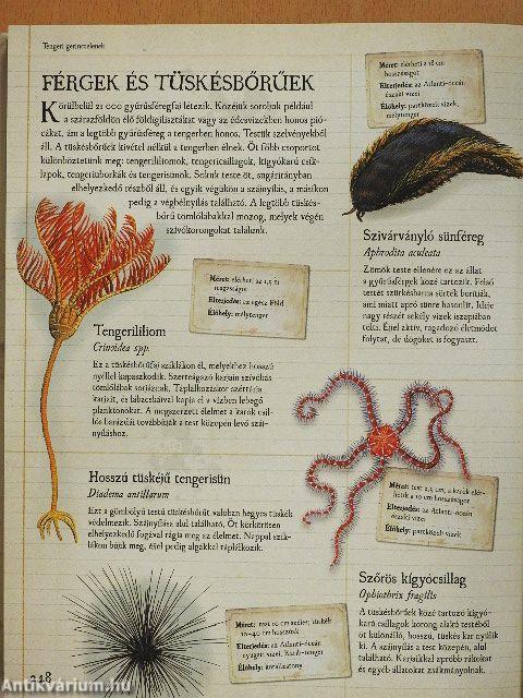 Gyerek-állatenciklopédia