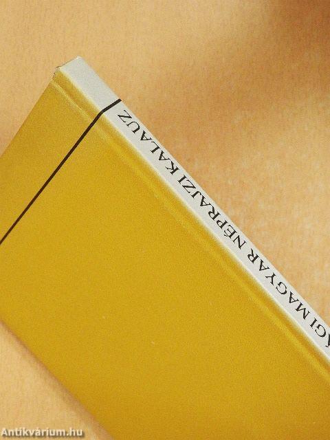 Vajdasági magyar néprajzi kalauz