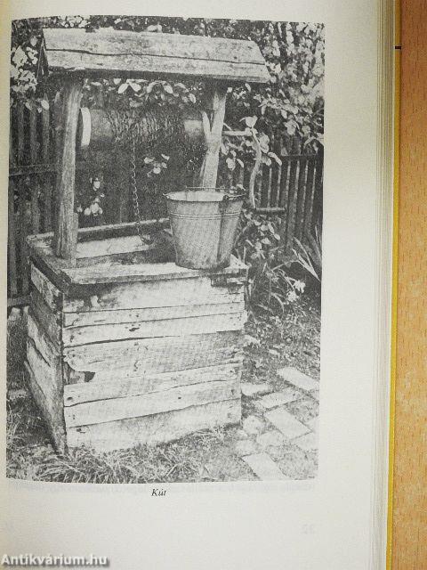 Vajdasági magyar néprajzi kalauz