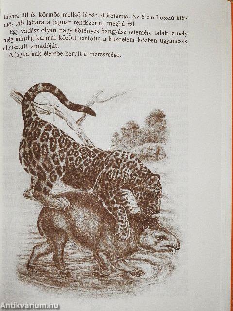 Fogakkal és karmokkal