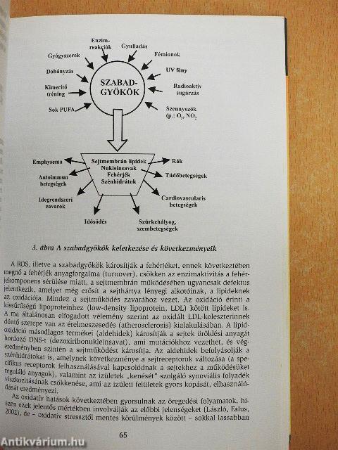 Táplálkozás - életmód - életminőség