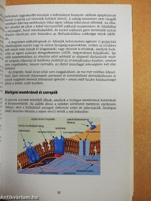 Táplálkozás - életmód - életminőség