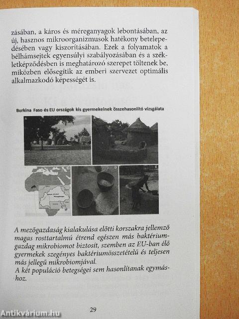 A mikrobiom bél-agy tengely