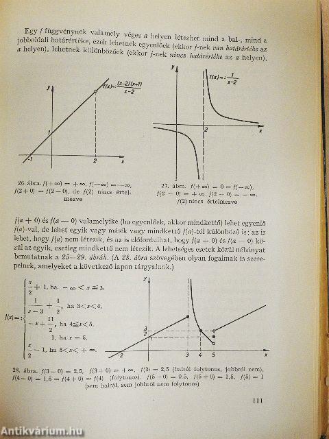 A matematika néhány filozófiai problémájáról/Matematikai logika