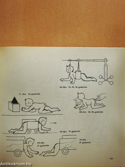 Fejlődésneurológia és neurohabilitáció 2.