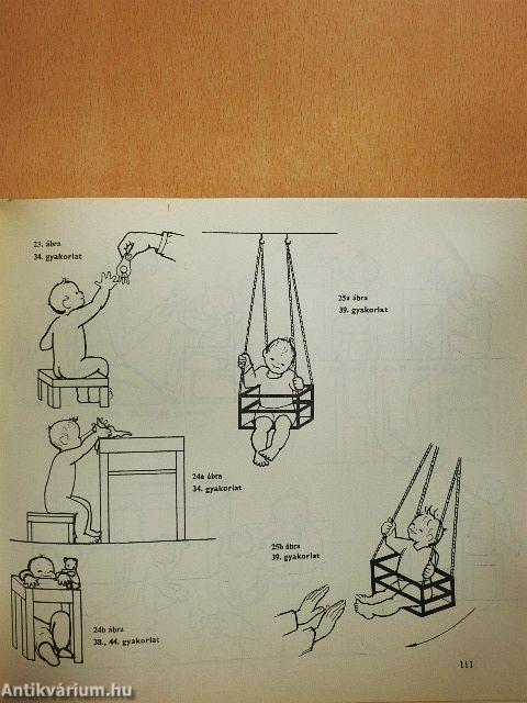 Fejlődésneurológia és neurohabilitáció 2.