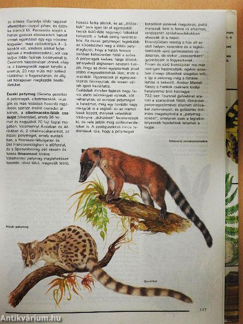 Ezerarcú természet