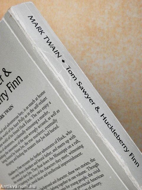 The Adventures of Tom Sawyer/The Adventures of Huckleberry Finn