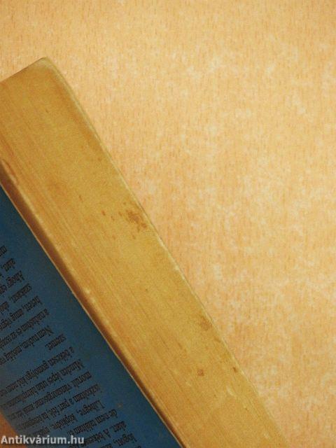 Holdanyó fényes arca