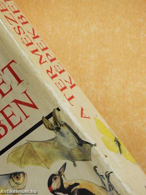 A természet képekben