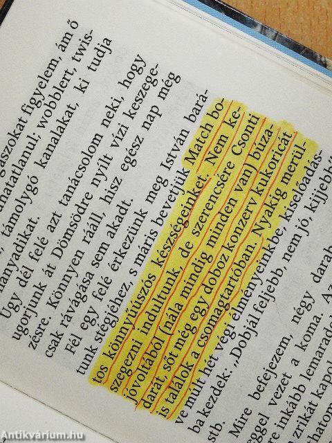 Horgászbottal a Csepel-sziget körül