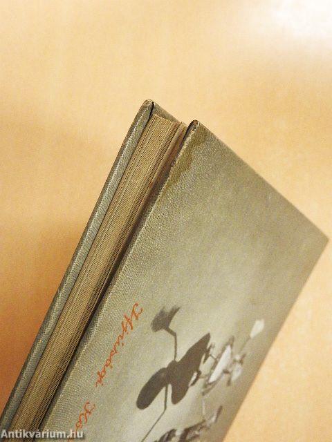 Makk Marci hőstette