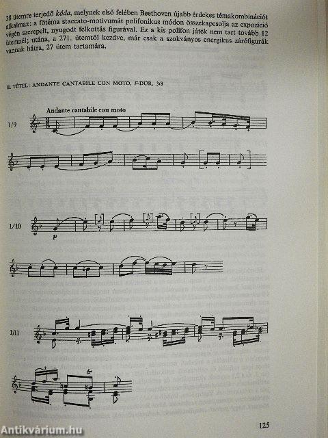 Beethoven és kilenc szimfóniája