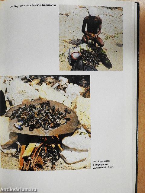 Sütés-főzés a szabadban és a hétvégi házban