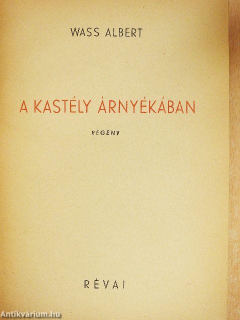 A kastély árnyékában
