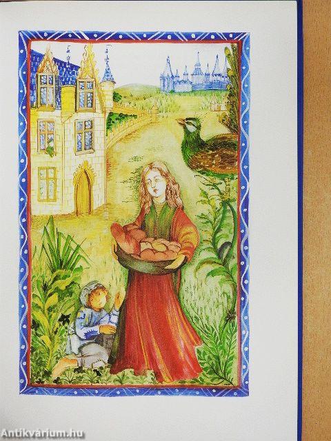 Magyarország Rózsája