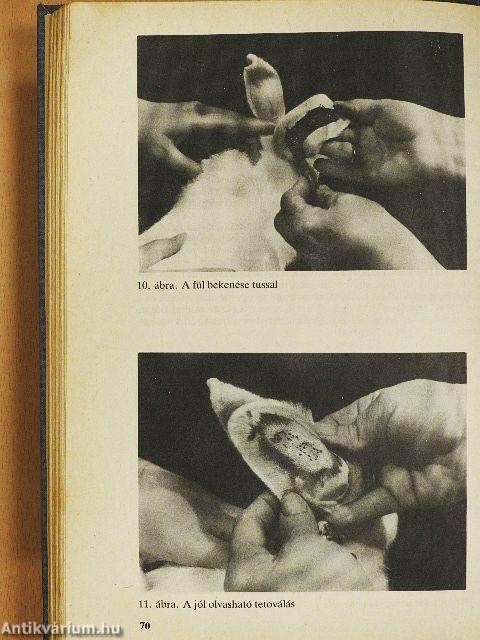 Nyúltenyésztők kézikönyve