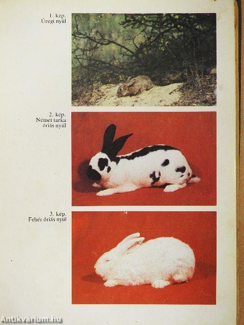 Nyúltenyésztők kézikönyve