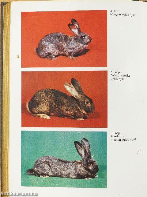 Nyúltenyésztők kézikönyve