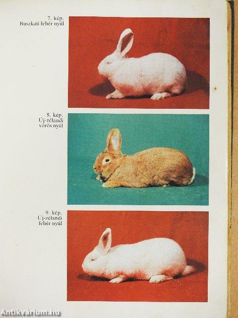 Nyúltenyésztők kézikönyve