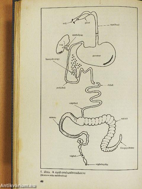 Nyúltenyésztők kézikönyve