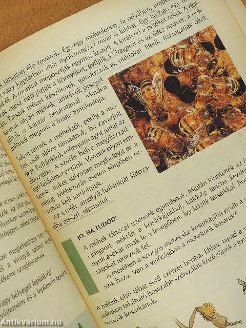 Környezetismeret 3. osztályosoknak - Tankönyv