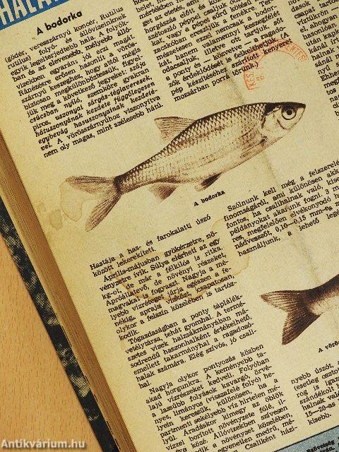 Magyar horgász 1964-1966. január-december