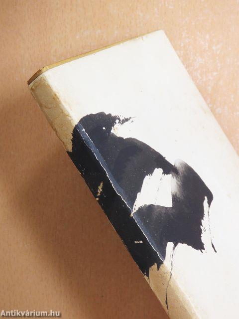 Hullámok kergetése