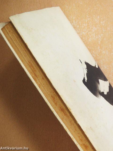 Hullámok kergetése