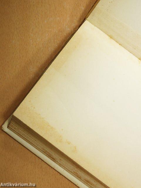 Hullámok kergetése