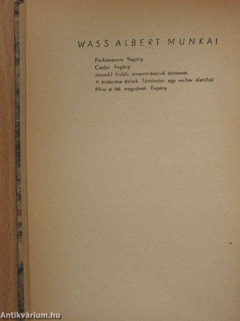 A kastély árnyékában