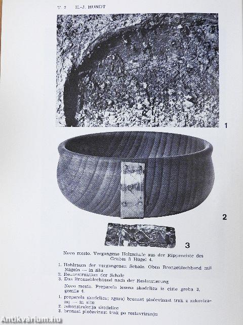 Arheoloski Vestnik XXIV