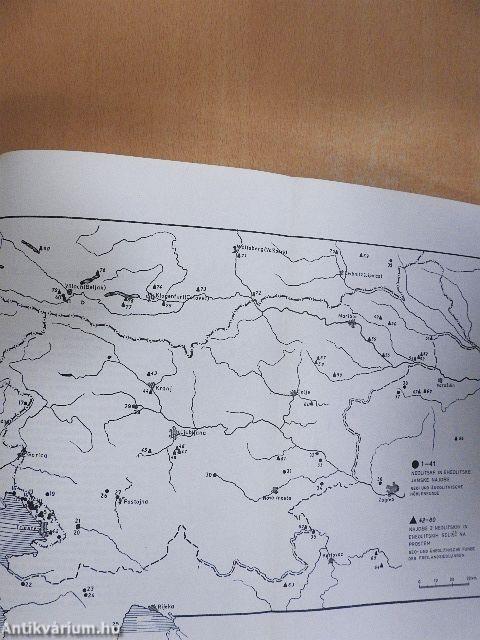 Arheoloski Vestnik XXIV