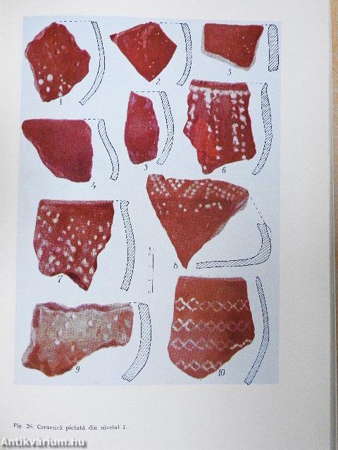 Acta Musei Napocensis IX