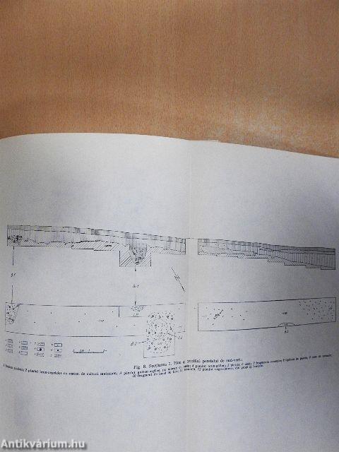 Acta Musei Napocensis IX