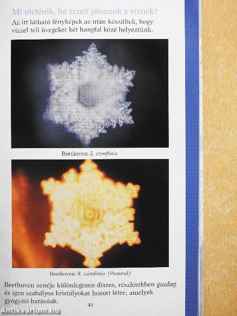 A víz rejtett bölcsessége